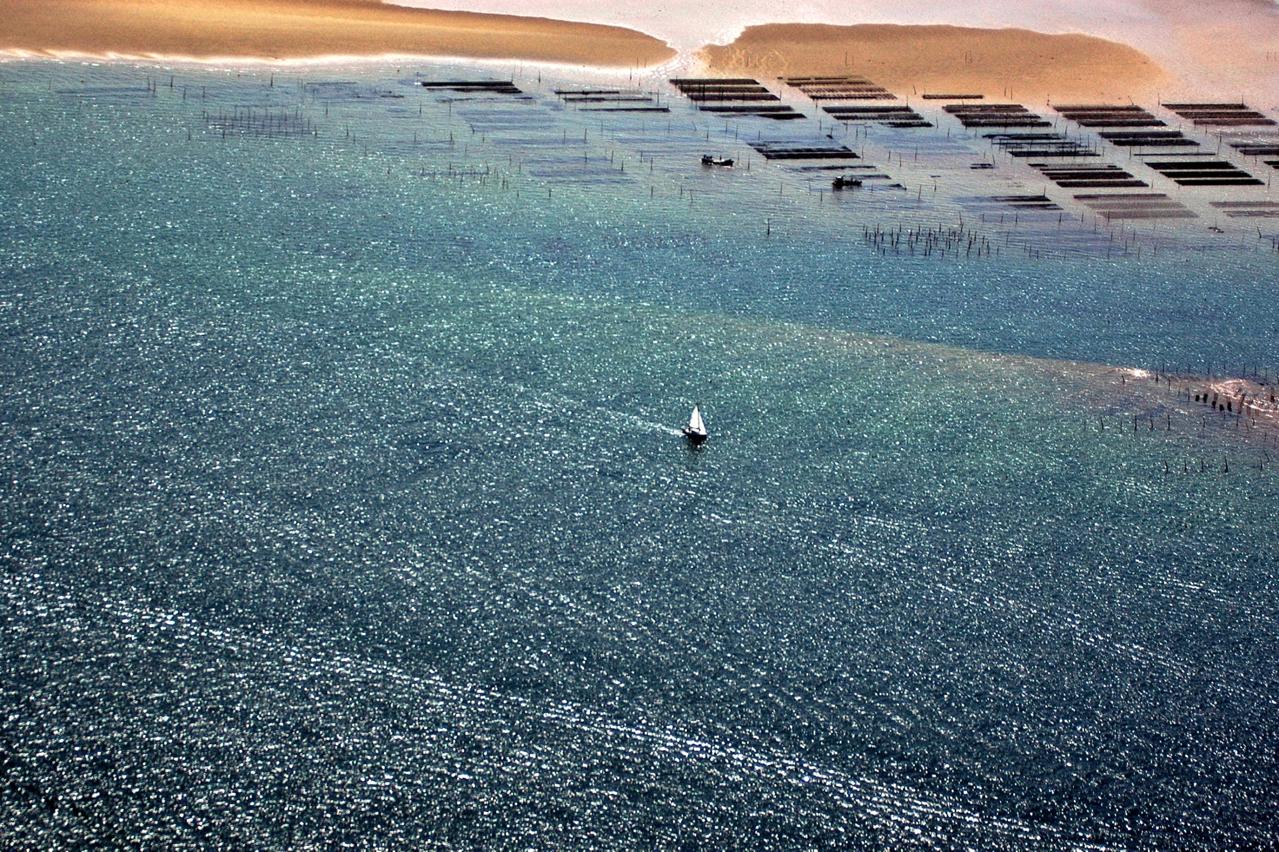 Vue aérienne du banc d'Arguin et de ses parcs à huitres