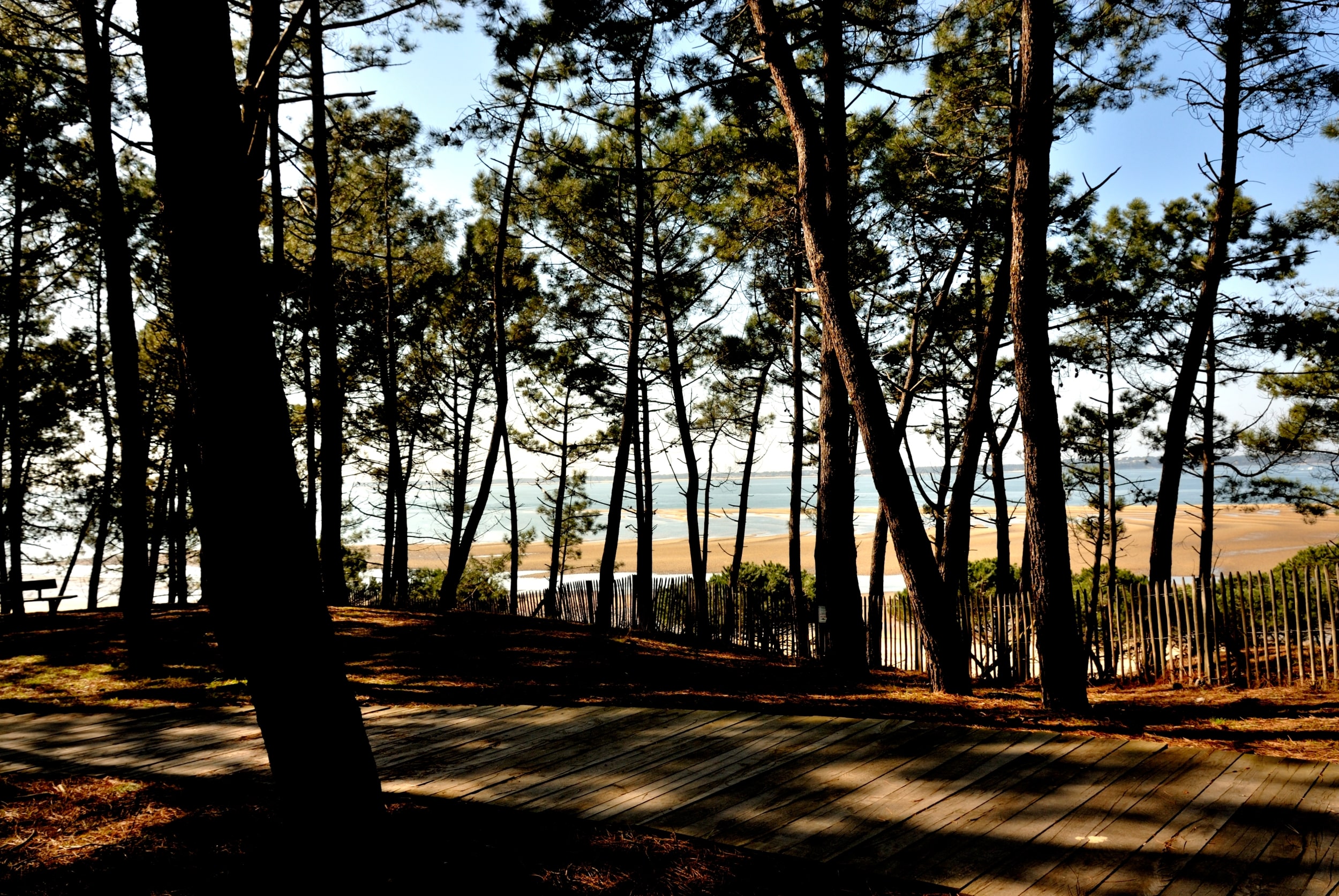 Vue de la plage de Pereire située entre la Mouleau et Arcachon
